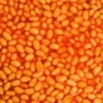 i just lost my dawg (heavenly version)