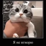 steklovata minecraft