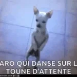 celui qui mene la danse