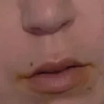 Sam le gorille beatbox