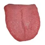 Up your arse (normal)