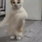 for soundboard thud - Sound