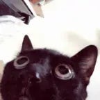 fetch me their souls cat meme