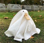 Are you ready meme Extended￼