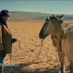 Hello horse I shall call you burger