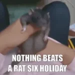 Recording 04/06/26 03:24:26