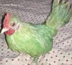 Ark Survival Evolved Ost Level Up - Sound