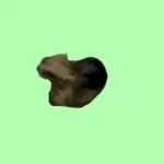 oi ii a i o iii a i