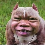 its all over Joey Diaz