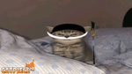 Car horn ( VERY LOUD )