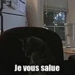 MIAOUUUUUWWWW de aaron jorion le mangeur de paf