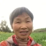 chinese song (copy)