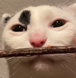 Ultraman Gaia - Sound