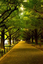 Postman Pat Theme Song PT 4