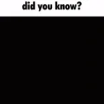 what what what what do you wnat