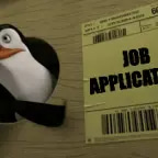 A JOB!!