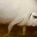 may I have some oats (copy)