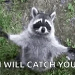 Elizabeth Catches You