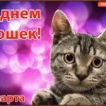 Пьяным буду die boyar (mp3cut.net) (1)