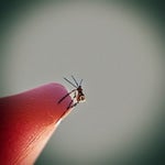 The time I got stung by a wasp