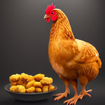 Brazil Don Pollo ahh