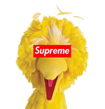 im da biggest bird : DDOA