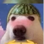 All roads lead to rome