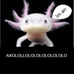Sound Effect Meme - Axolotllllllll