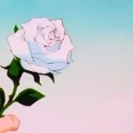 Recording 12/19/25 22:42:09