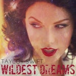 Song "Wildest Dreams"