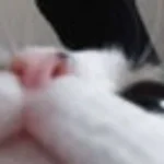 XXXTENTACION MOONLIGHT (Russian version) (copy)