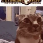 mezarcı gazi oynamak istiyomusun