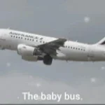 Meow Bark Airlines ( Pilots barking meowing )