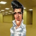 hound dog Looping the rooms