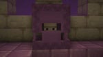 Shulker Box - Open 2
