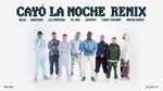 Cayo la noche Remix - Sonido Parte Quevedo