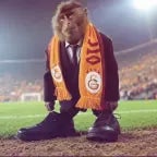 DIA DELICIA (Slowed) - Sound