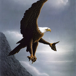 eagle