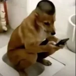 o papai noel