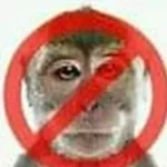 dee dee mega doo doo