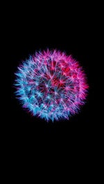 sova no where to run