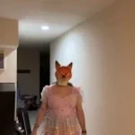 Mysterous stranger noise recent fallout games