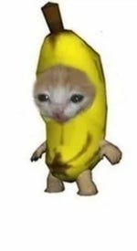 cm chat media video 18fa4f116 dbb7 5ff7 8c09 935f4e3ba3a111500