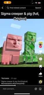 Pig and creeper sigma