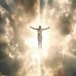 Where Have You Been (REMIX) - Sound