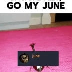 DBB_JUUNE.mp3 (copy)