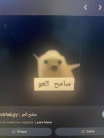 سامح ااعو - Sound