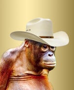 Holding out for a hero