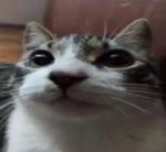 Ta chovendo aí aqui ta chovendo