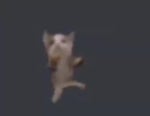 Laughing Cat (Gato bailando con risas de fondo)